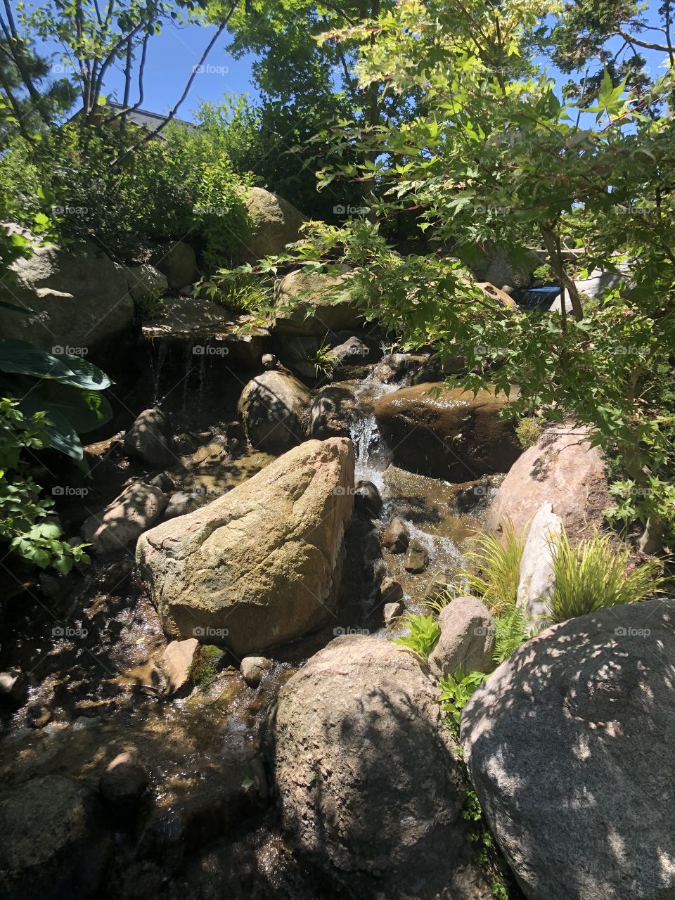 River with big rocks in lush garden