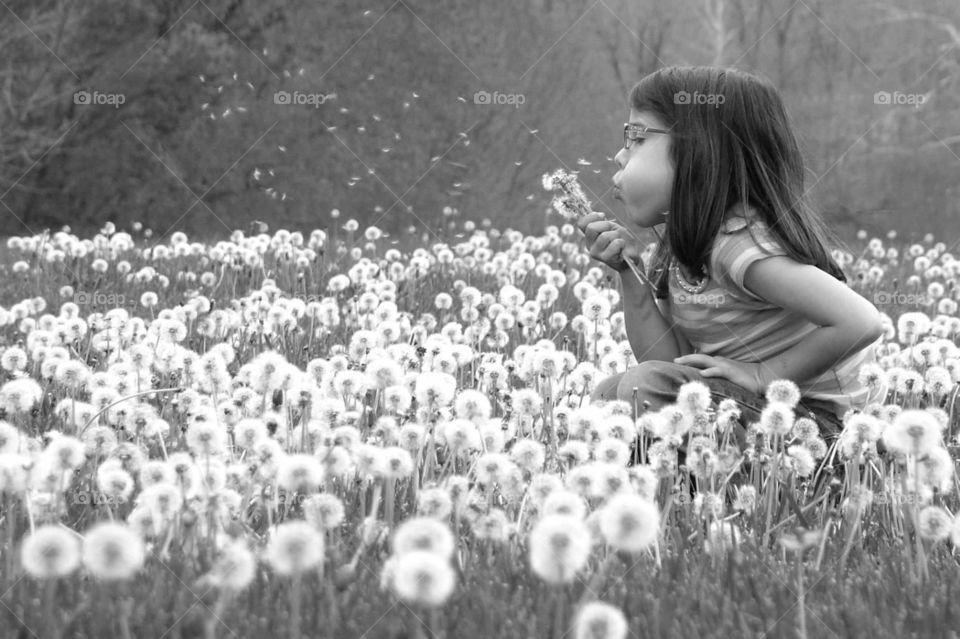 Dandelion dreams. Girl blowing dandelions in a field