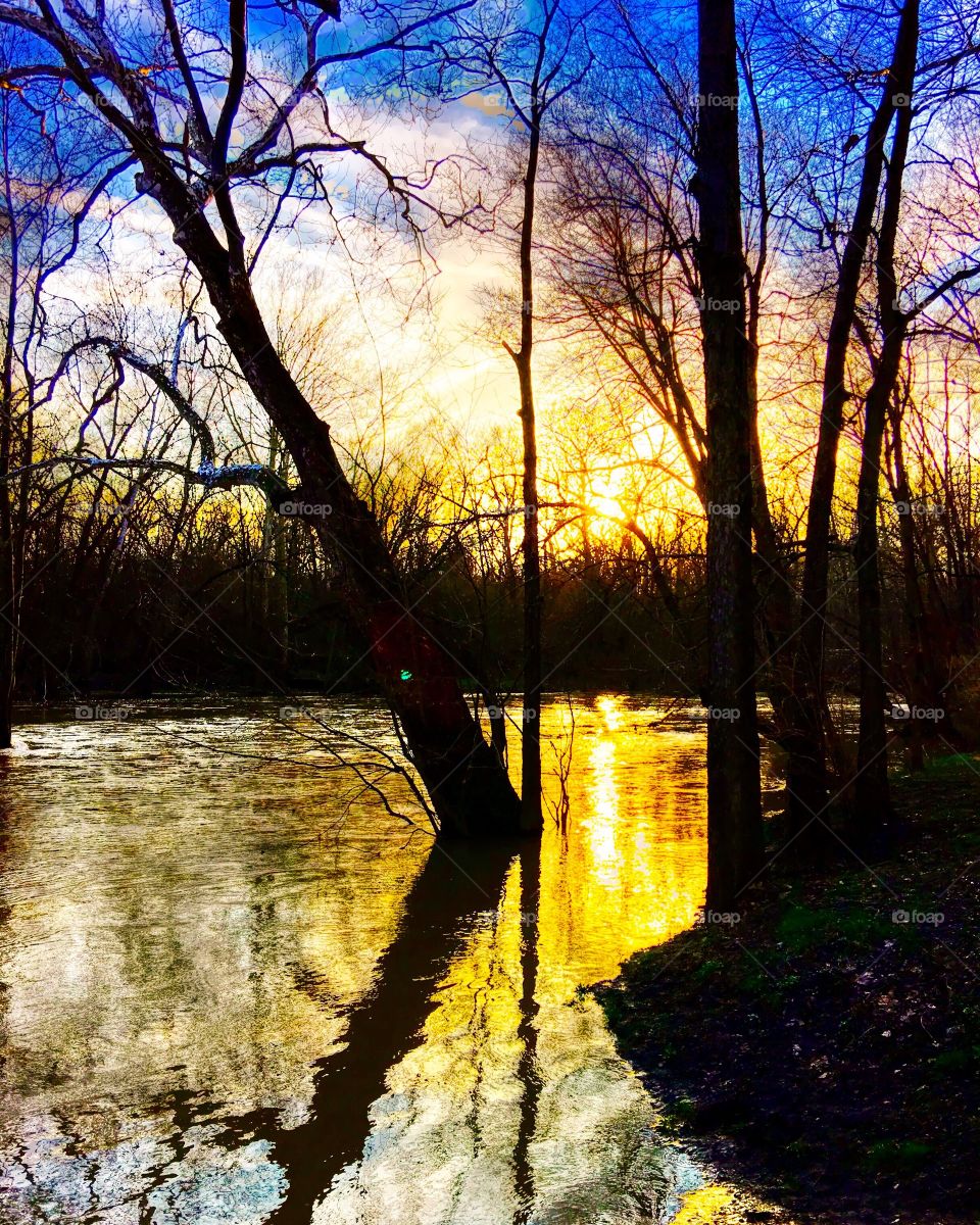Indiana state park sunset. 