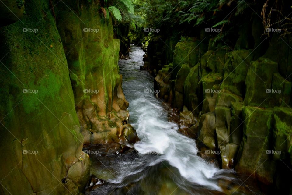 stunning rapid gorge with a natural deep contrast, bringing out the moss as a lush green visual.