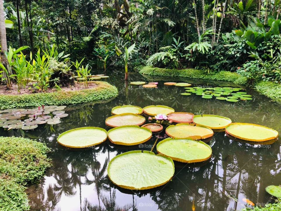 Красота природы Земли