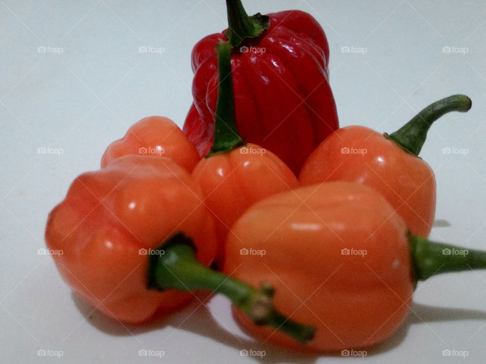 Pepper Red and Orange
