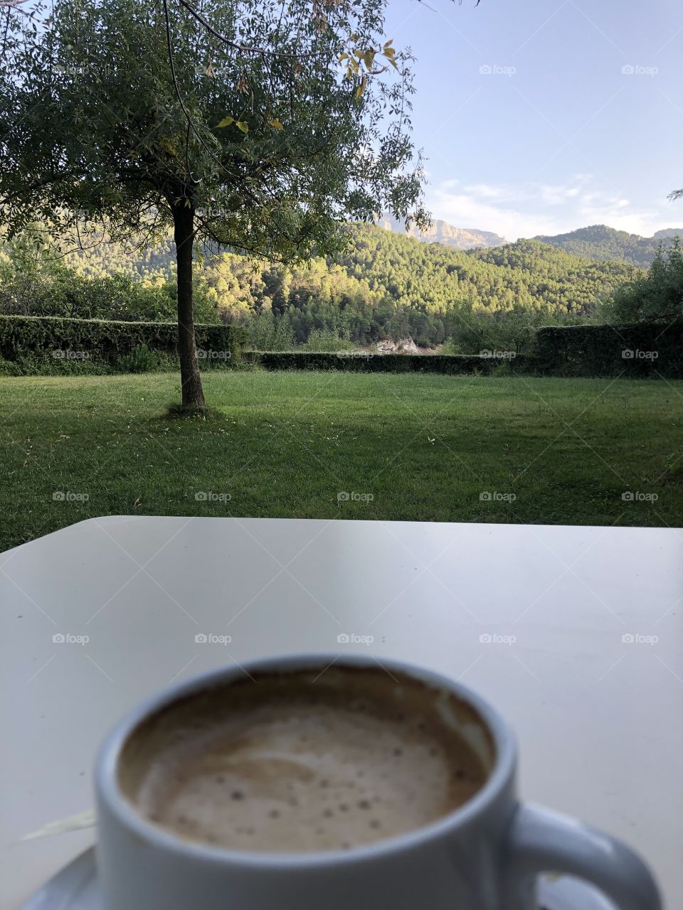 Coffee in the field 