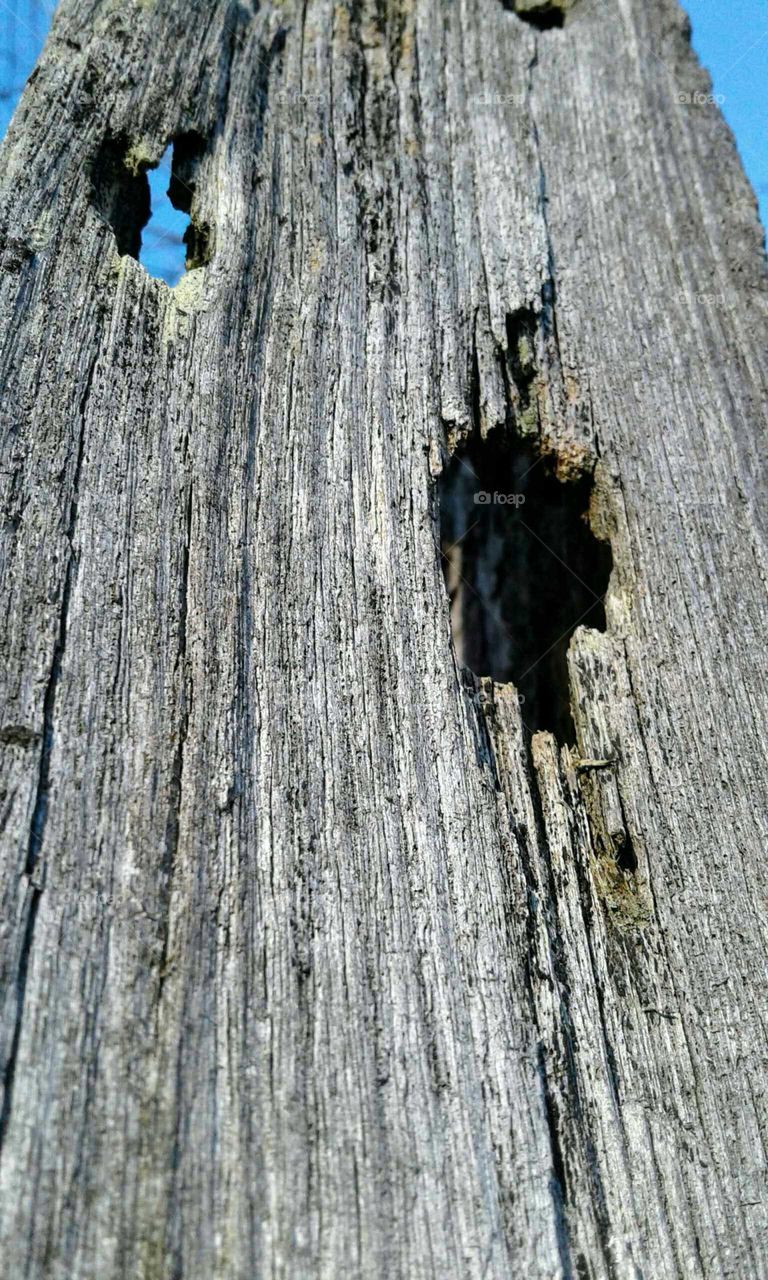 Old Fence Post