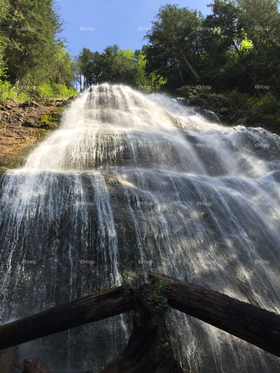 Waterfall, Water, Wood, Nature, River
