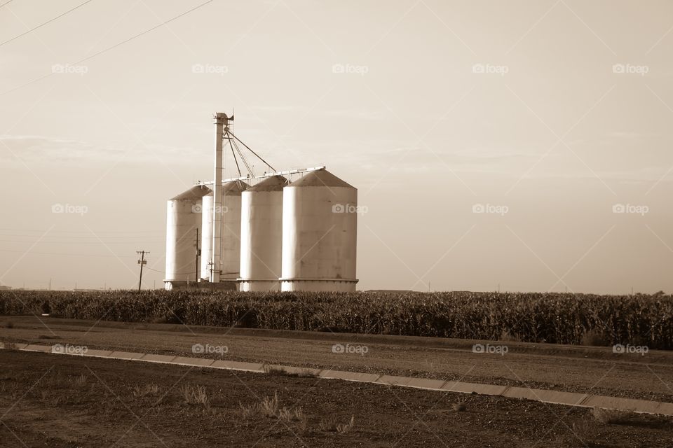 Morrison Ranch abandoned silos