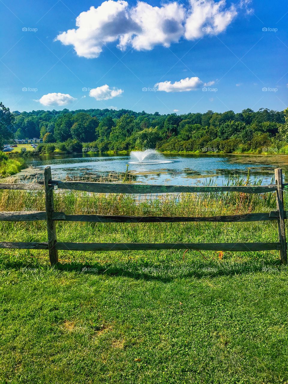 A man made fountain surrounded by natural beauty.  In this the two complement each other.