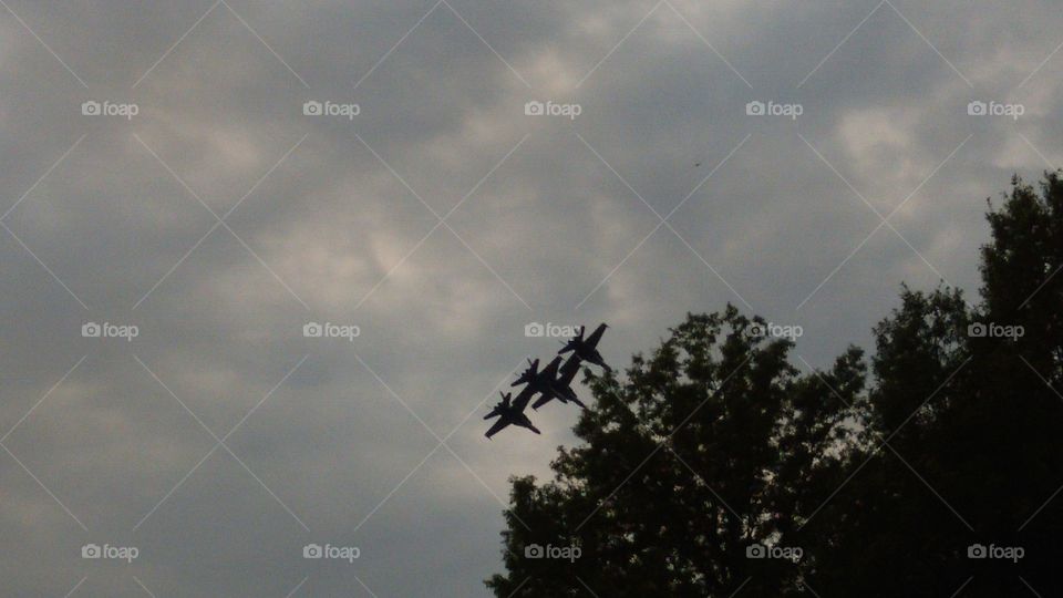 blue angels in the trees. a great shot of the blue angels at the willow run air show