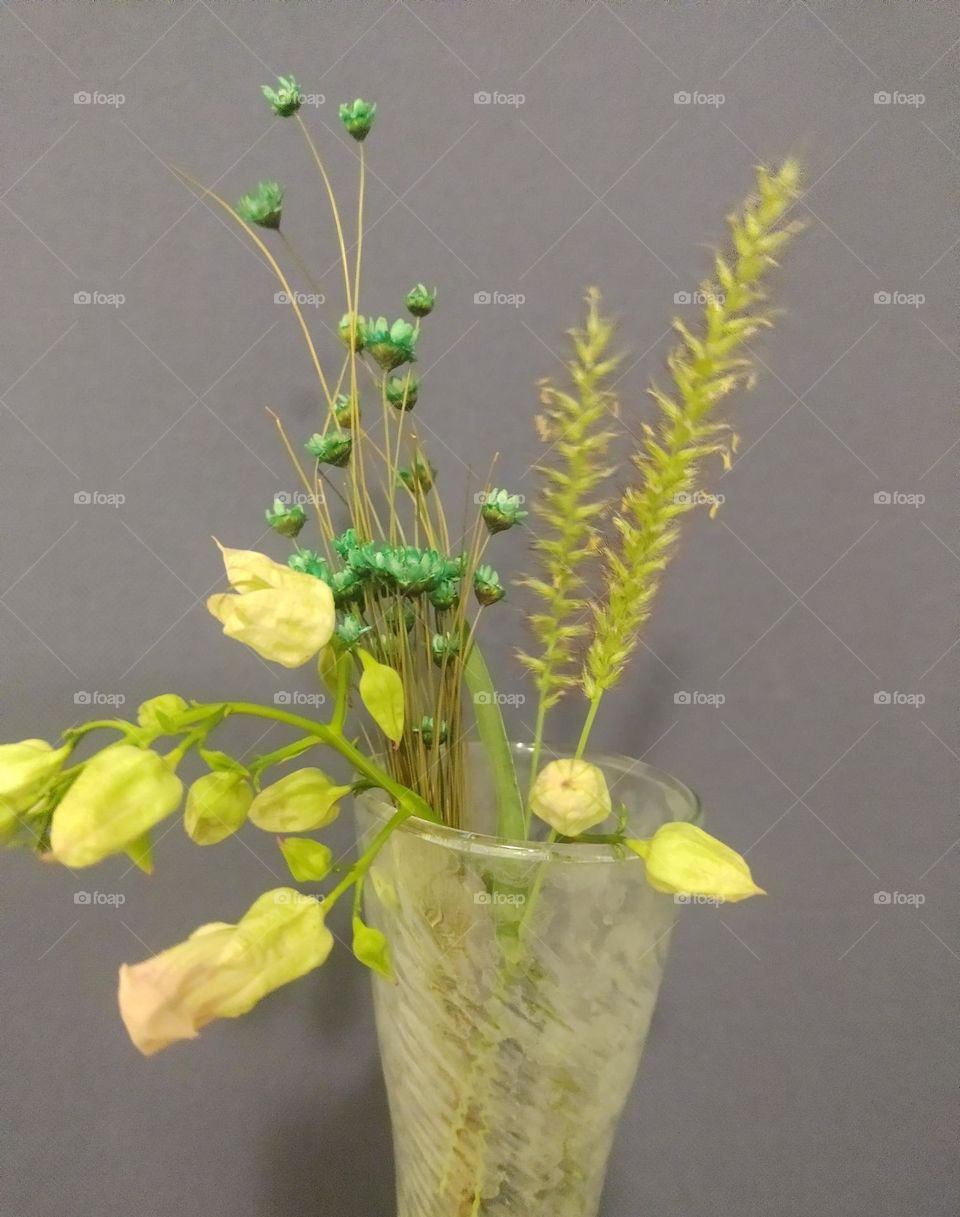 flores ,colores # flowers colors