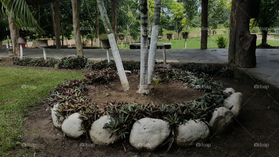 Restaurant "Rusticos"? La Flecha Honduras