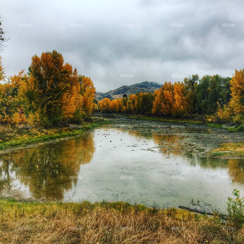 Loving the beautiful fall colours! 