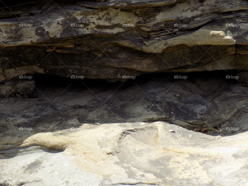 The foot of the aceh halimon