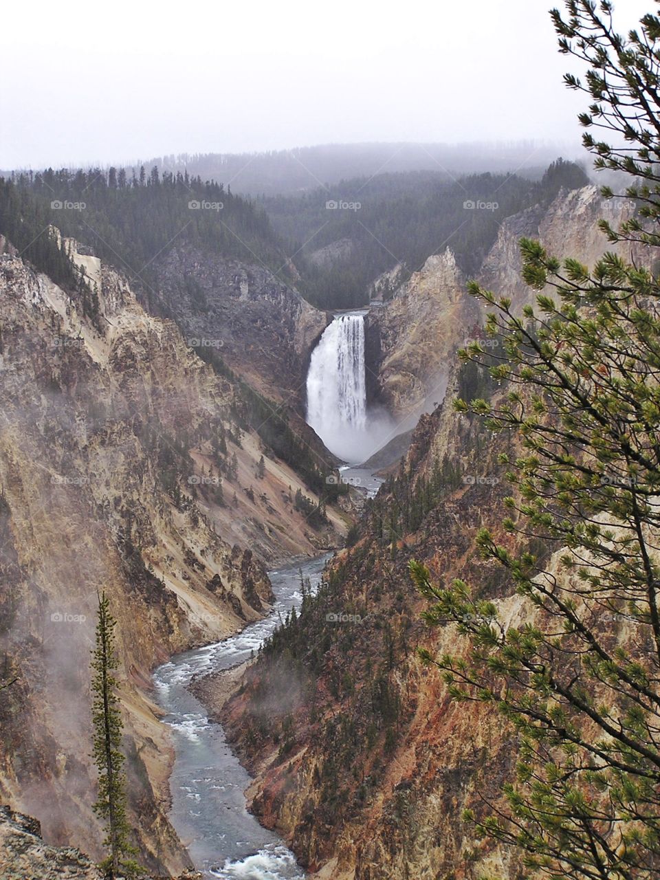Spectacular Falls in Yellowstone