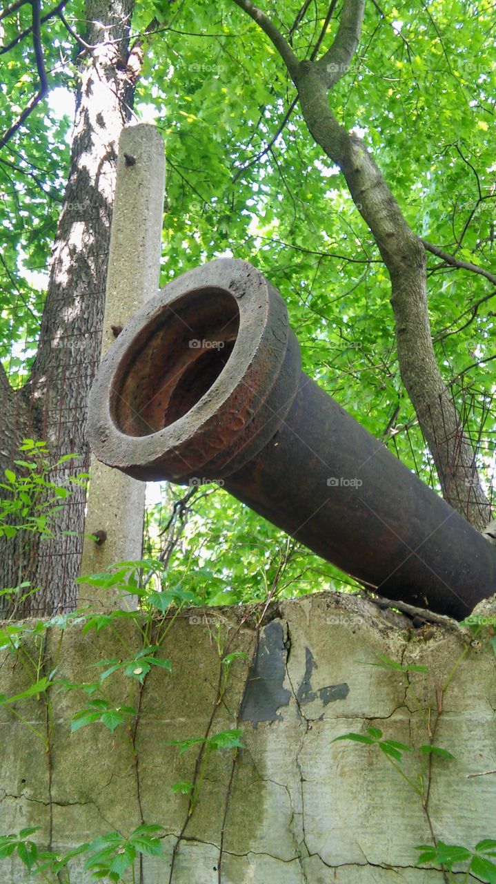 Wood, Tree, Nature, Leaf, Old