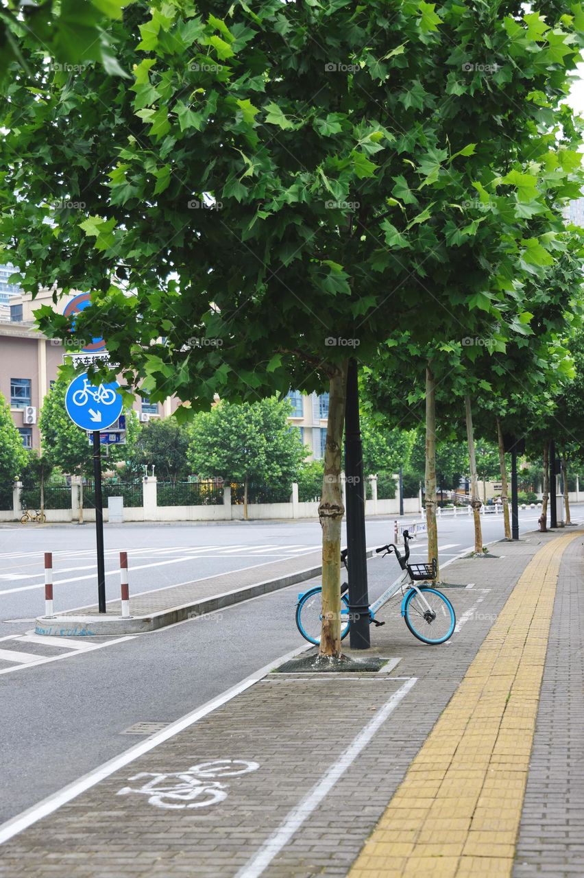 Bicycle on the road