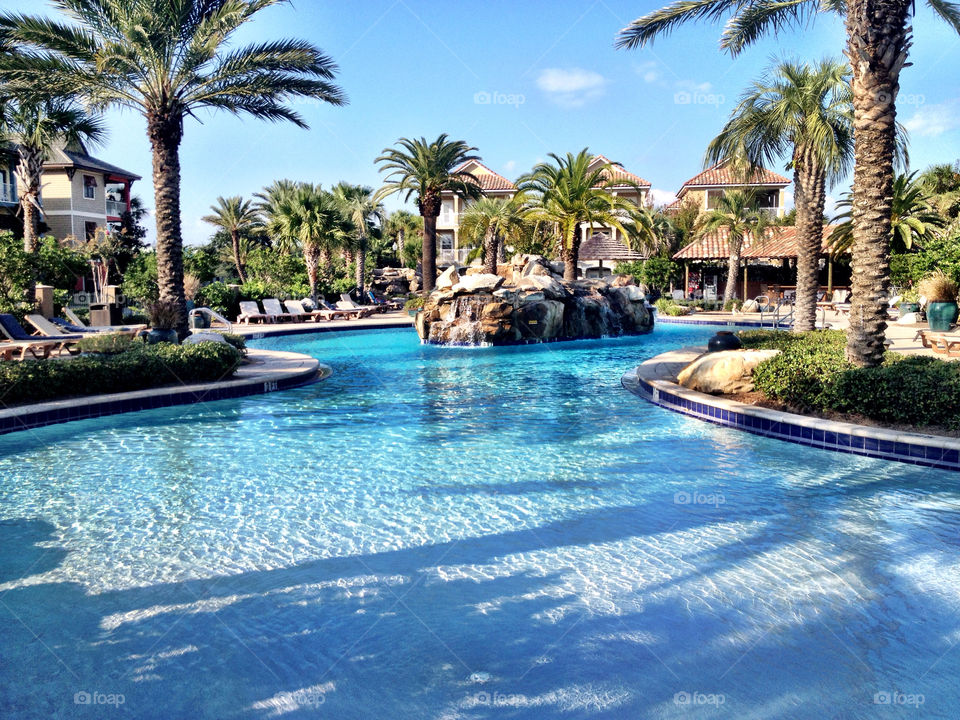 water relax pool palms by dustinrogers