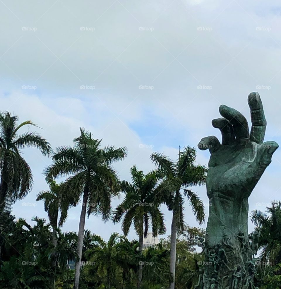 Raise your hand and volunteer to save trees 