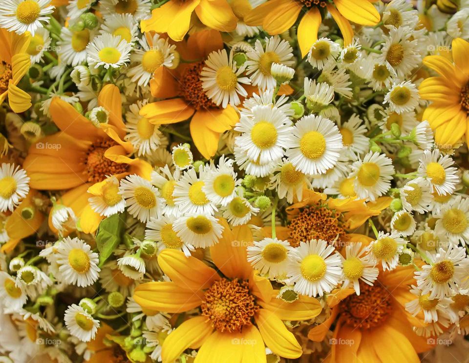 A lot of yellow flowers