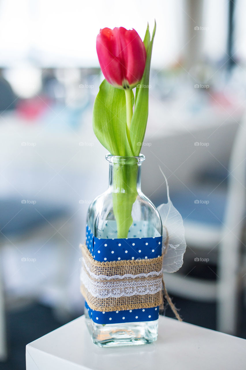 Red tulip in vase