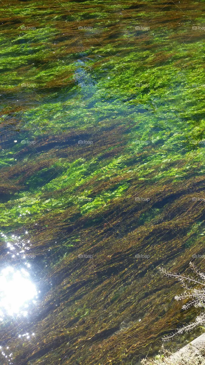 river
