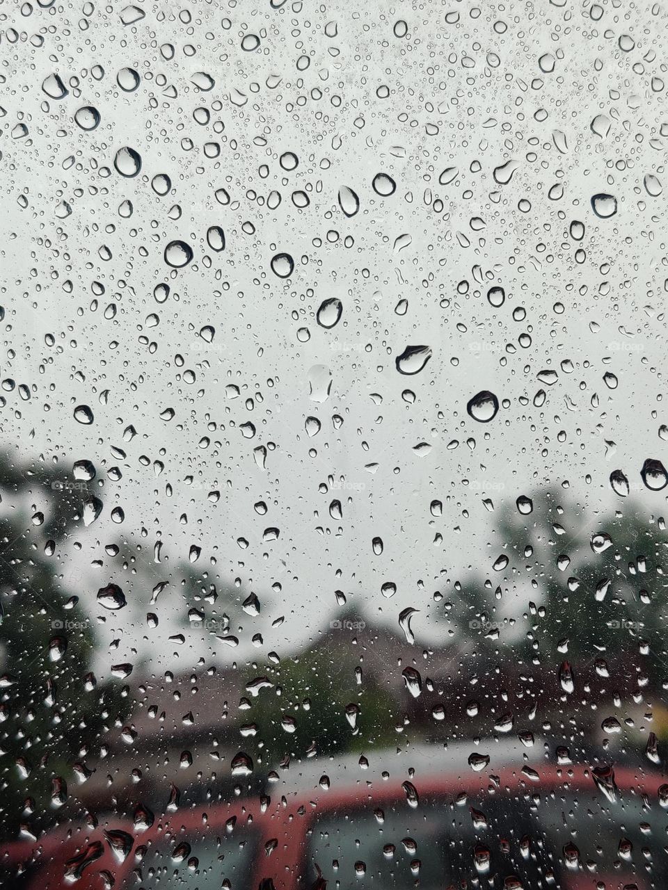 Raindrops refresh and improve the beauty of everything they fall on.