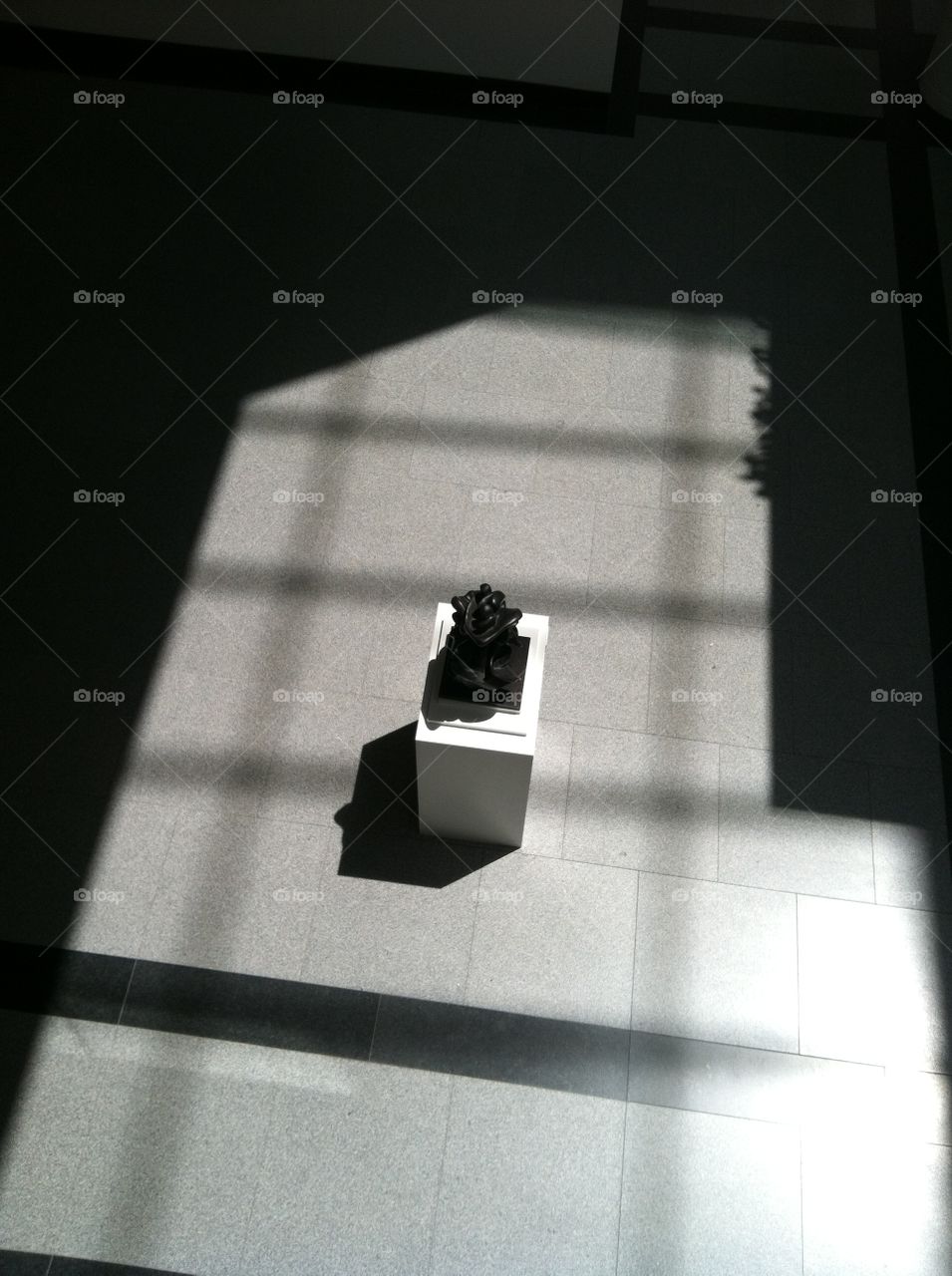 Sculpture in Shadow