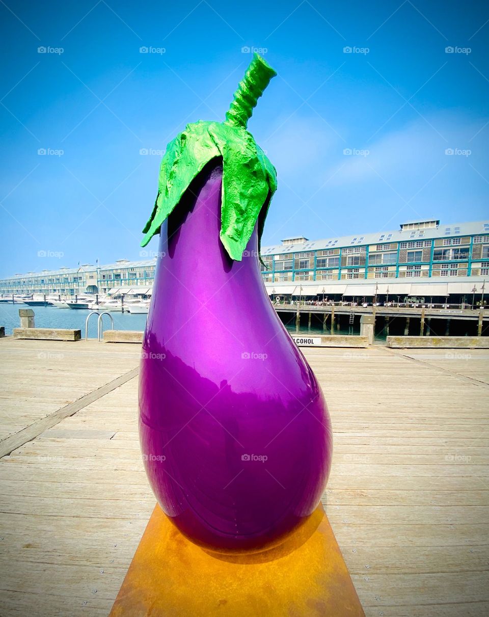 6 foot Statue of an eggplant by artist Aldo Bilotta on display at Wooloomooloo Wharf in Sydney, Australia