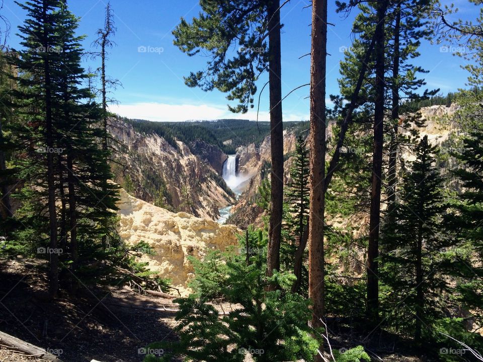 Lower Falls at Yellowstone National Park! The yellow color of this stone is apparently why the park was named yellowstone!