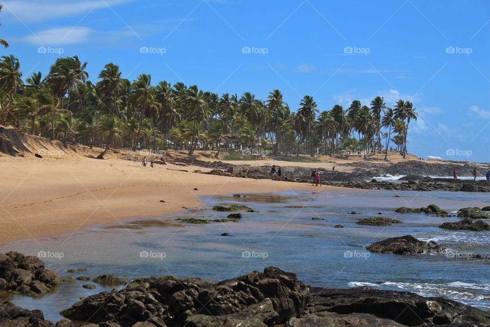 Beaches in Brazil