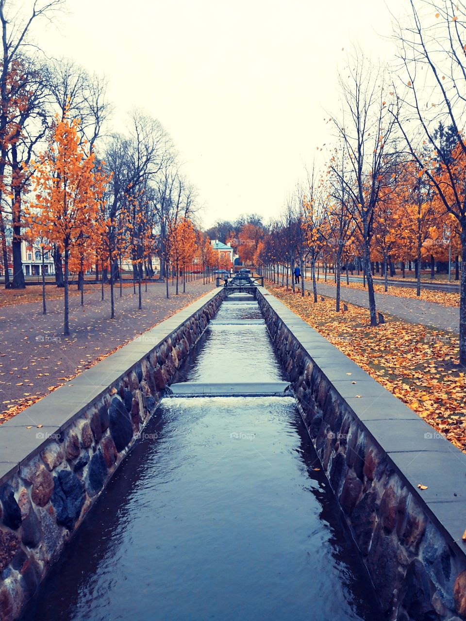 Autumn in the old park