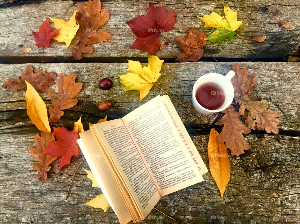 Reading in autumn