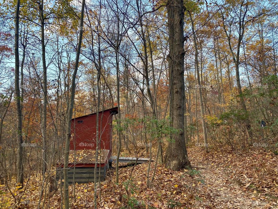 A red painted outhouse in a forest