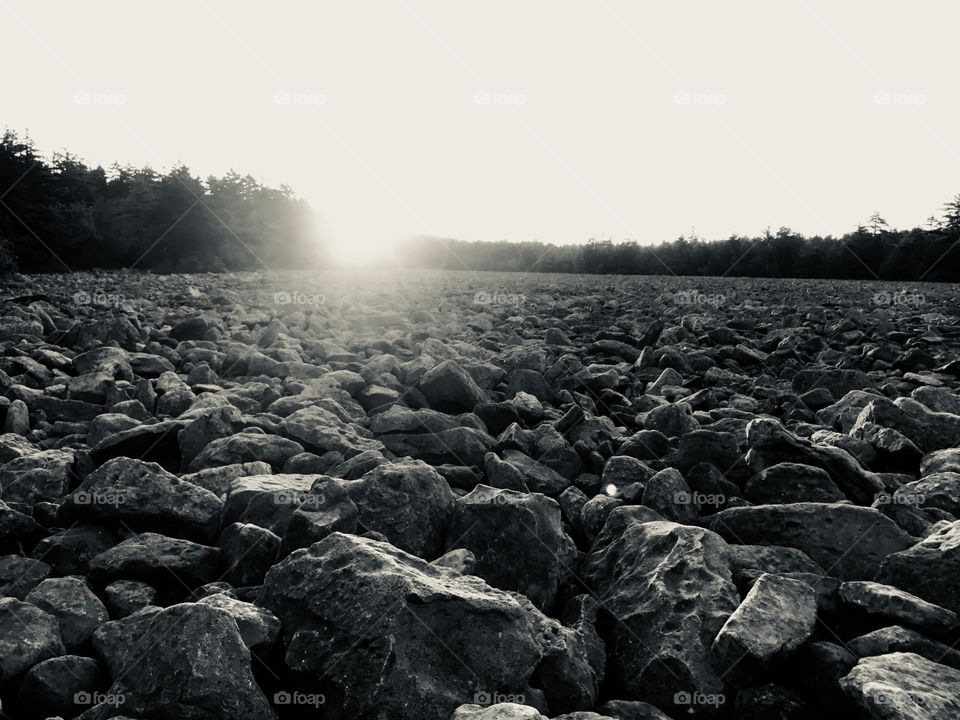 Boulder Field in Black and White