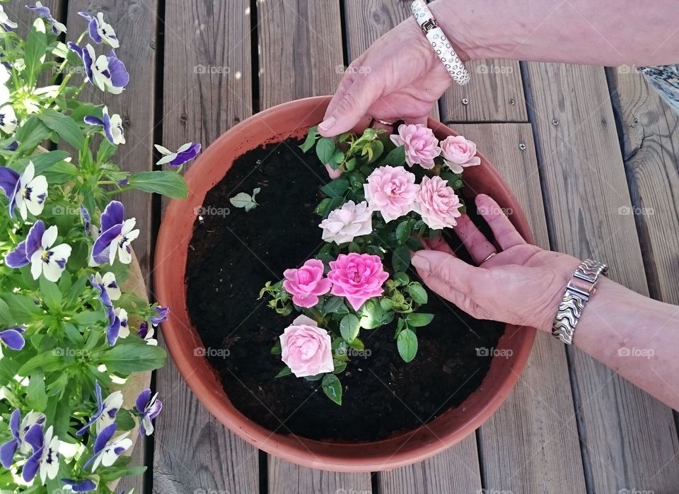 Gardening