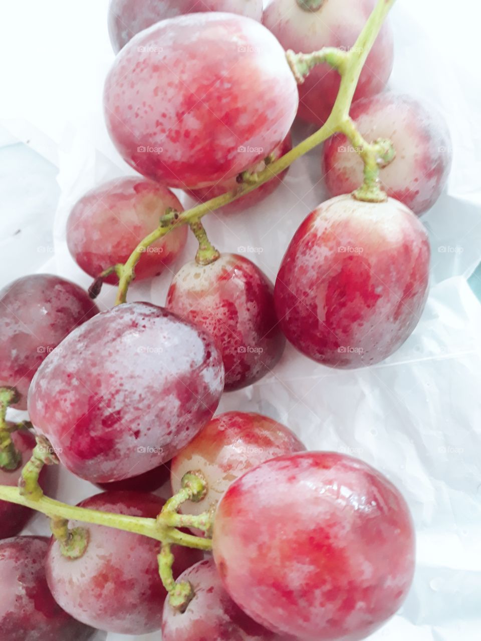 la uva peruana del cual es procesada en vino.