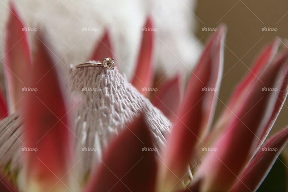 Flower and diamond ring