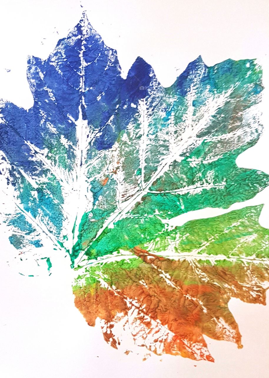 Painted Leaf