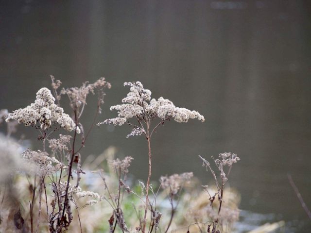 By the river