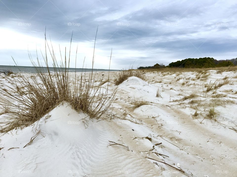 Sand dunes