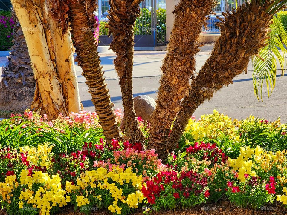 A colorful bouquet of beautiful flowers adorns a curbside adding color and life to an otherwise drab setting