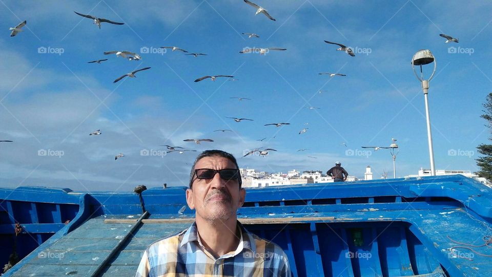 I m looking at flying seagulls