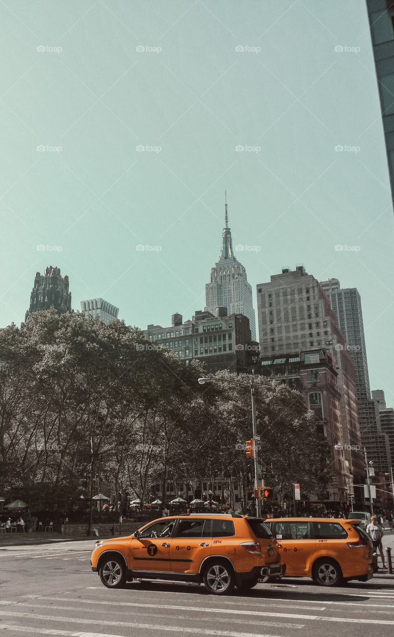 Street photo in new York city during day 