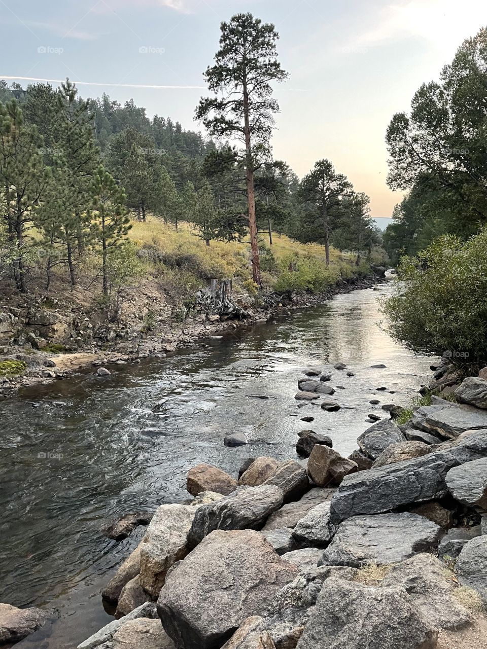 Mountain Stream