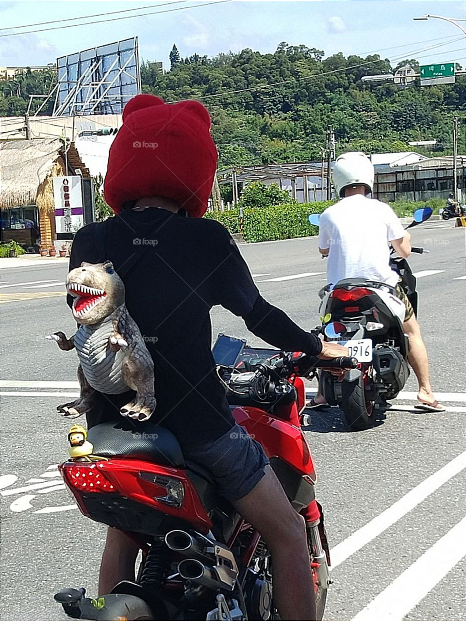 Riding With Dinosaur Backpack