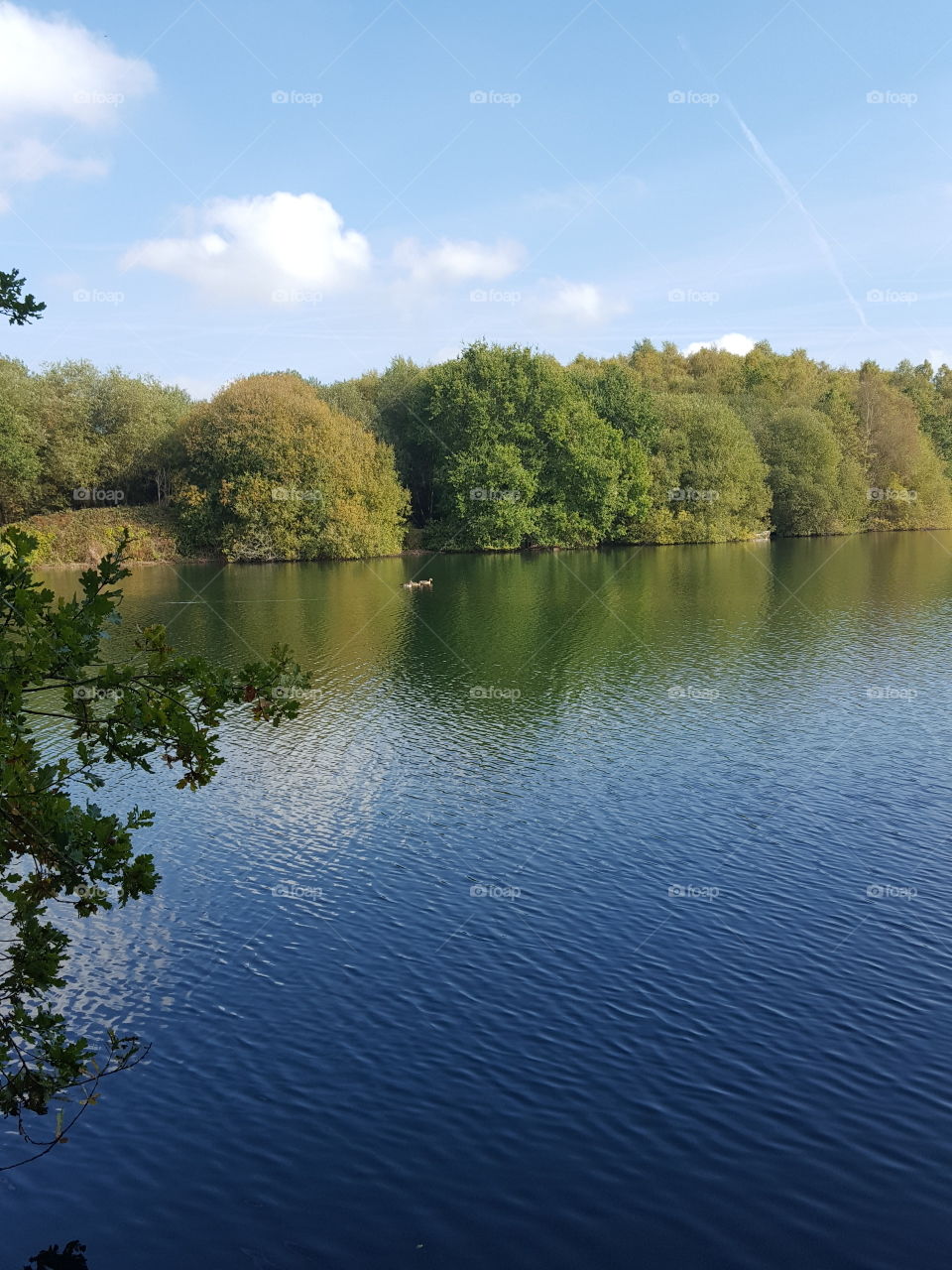 lake views