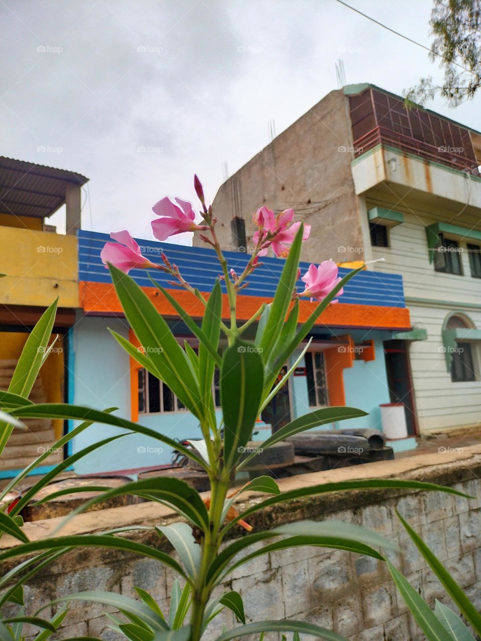 Morning Time Capture