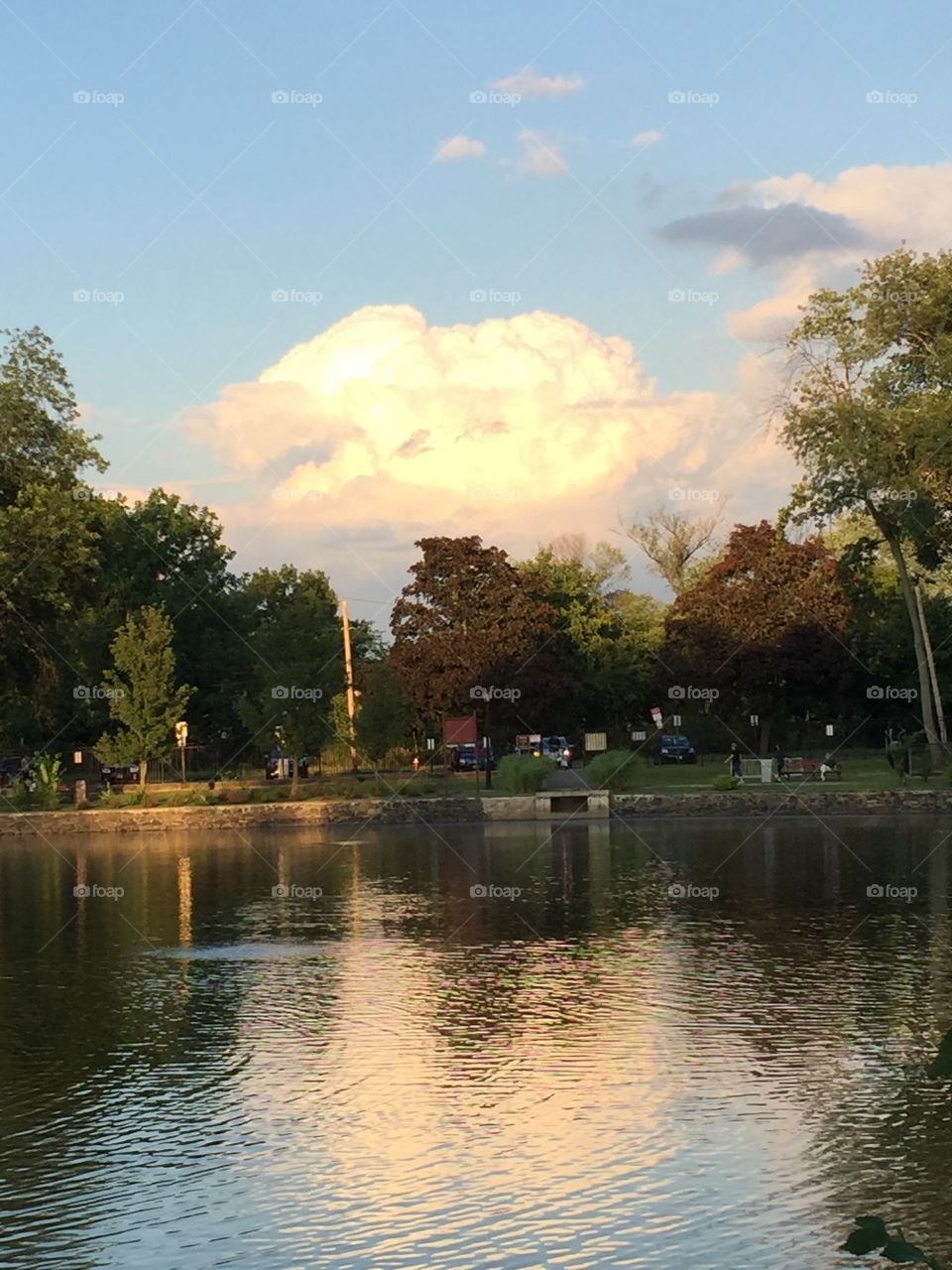 Ridder Park, NY. The pond at Ridder Park in Manhasset, NY. July 2015