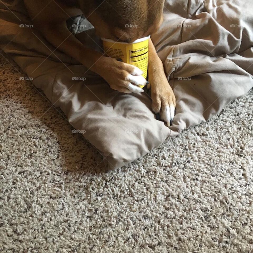 What could be better then this .