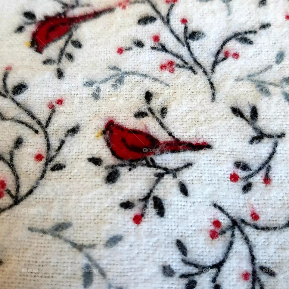 Cozy cotton fabric