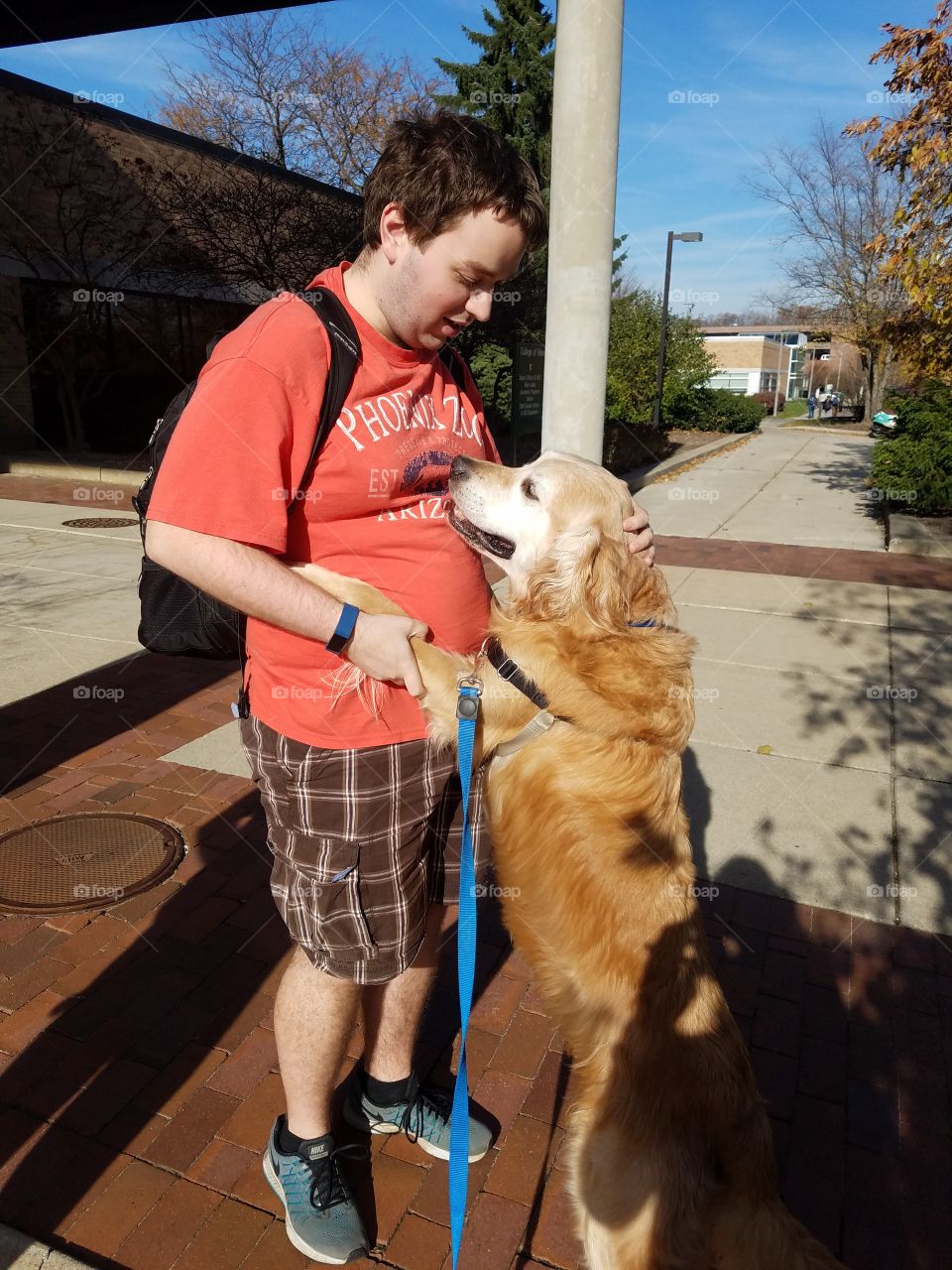 I walked Buddy the golden retriever outside of the vet school for moral support to my friends add they came outside after their quiz